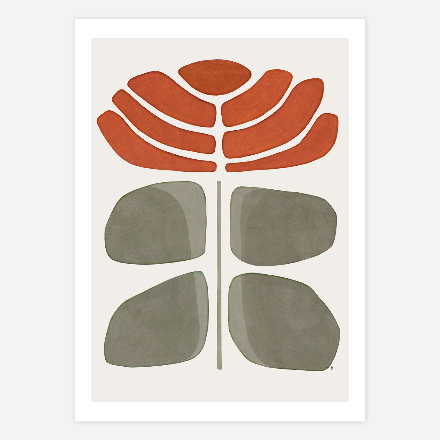 Rosa