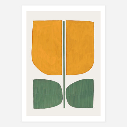 Tulip