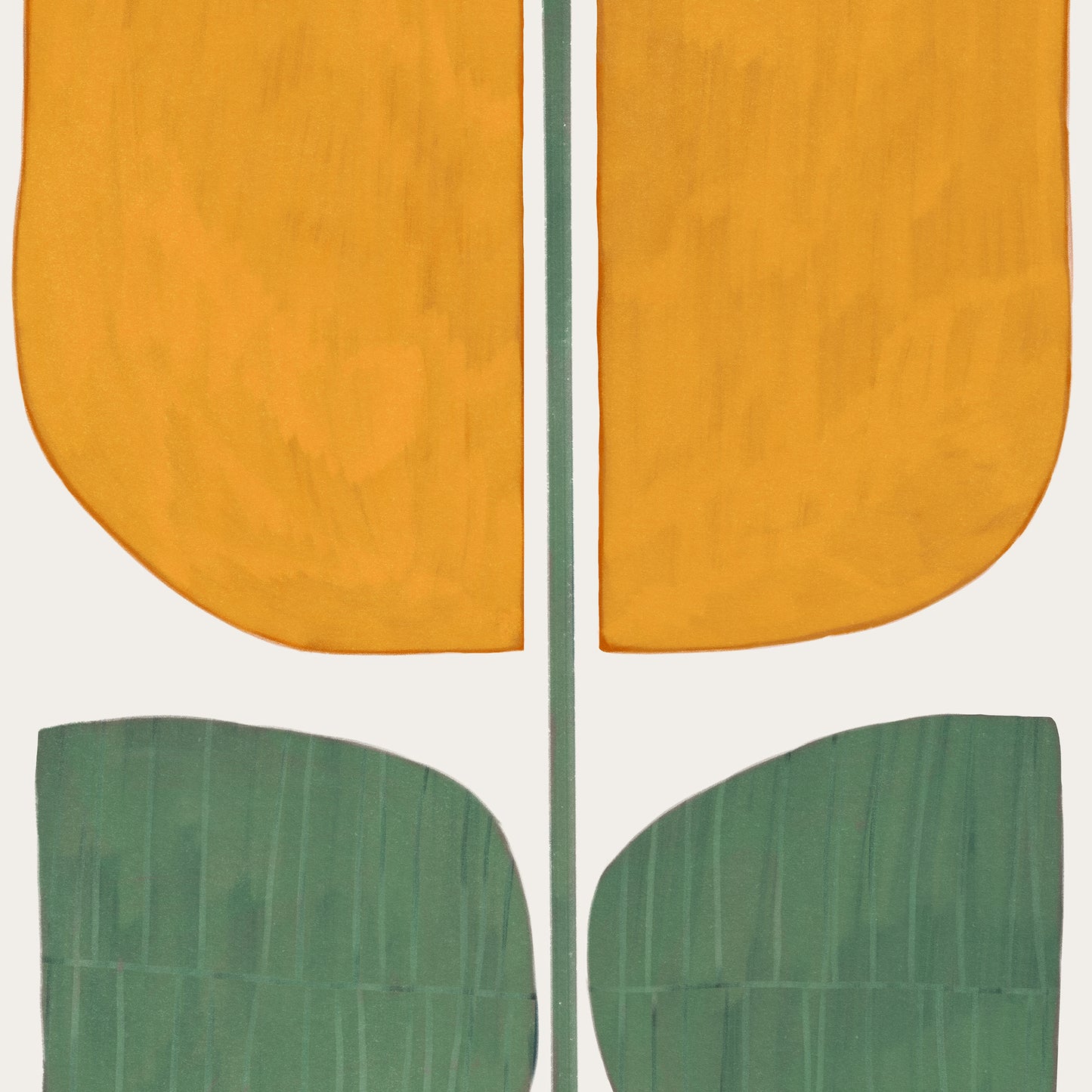 Tulip