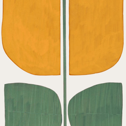 Tulip